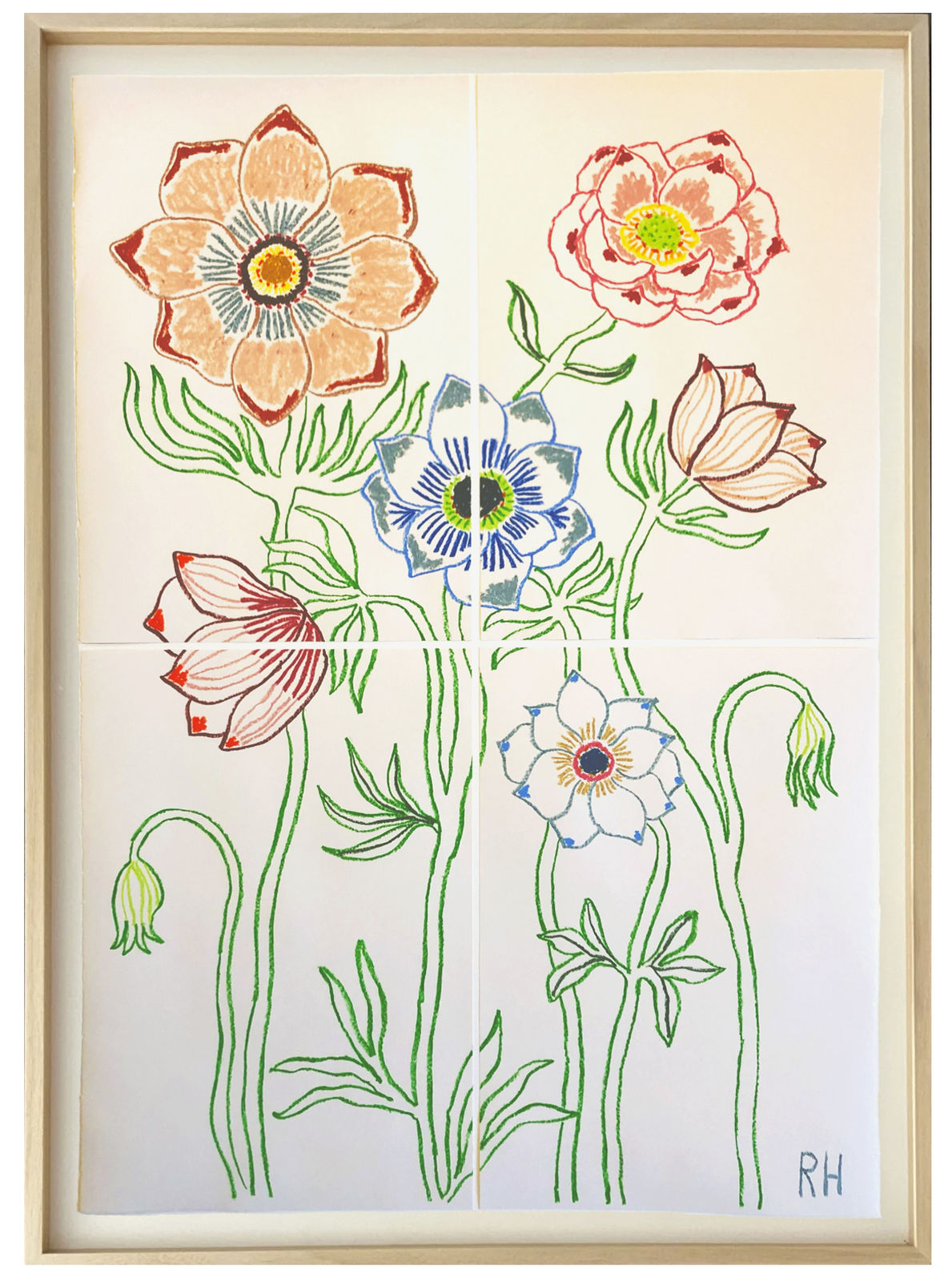 Rosie Harbottle, Anemones