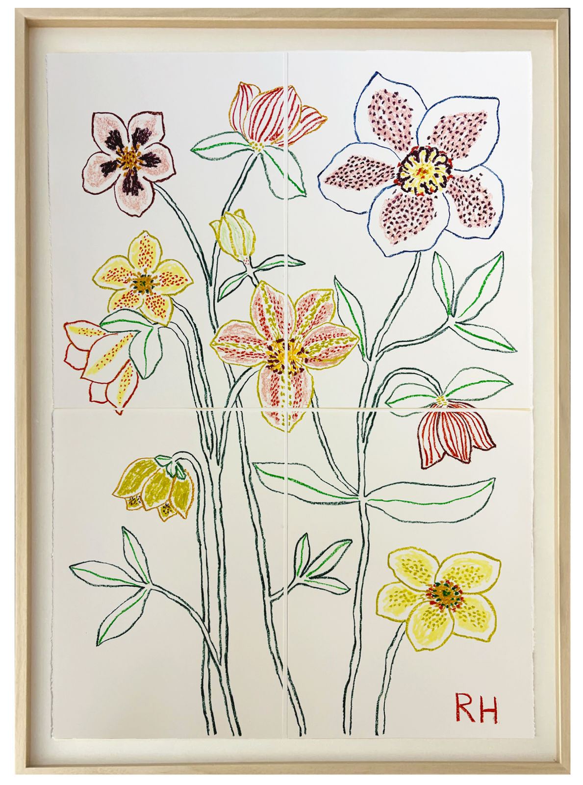 Rosie Harbottle, Hellebore