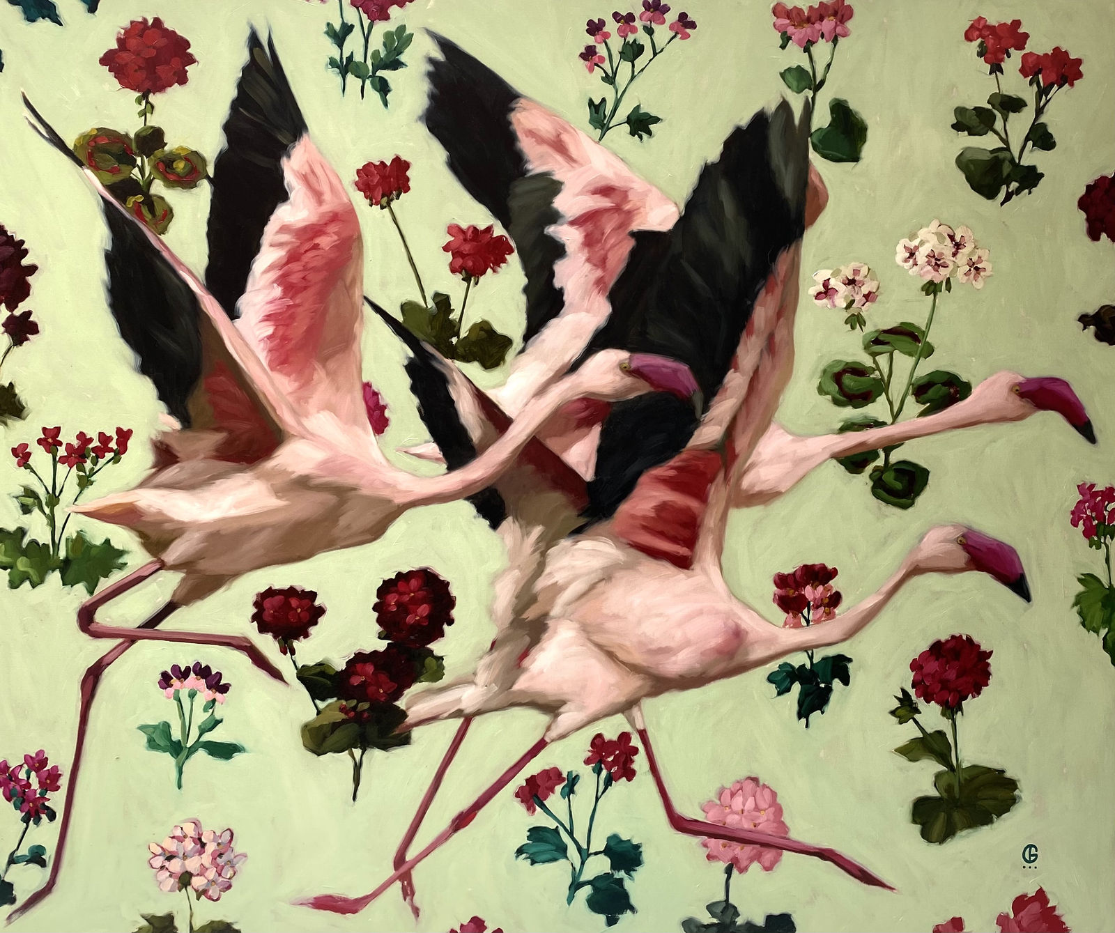 Georgia Fiennes, Pellagonita