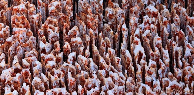 Clarence Long III, Inescapable Decay