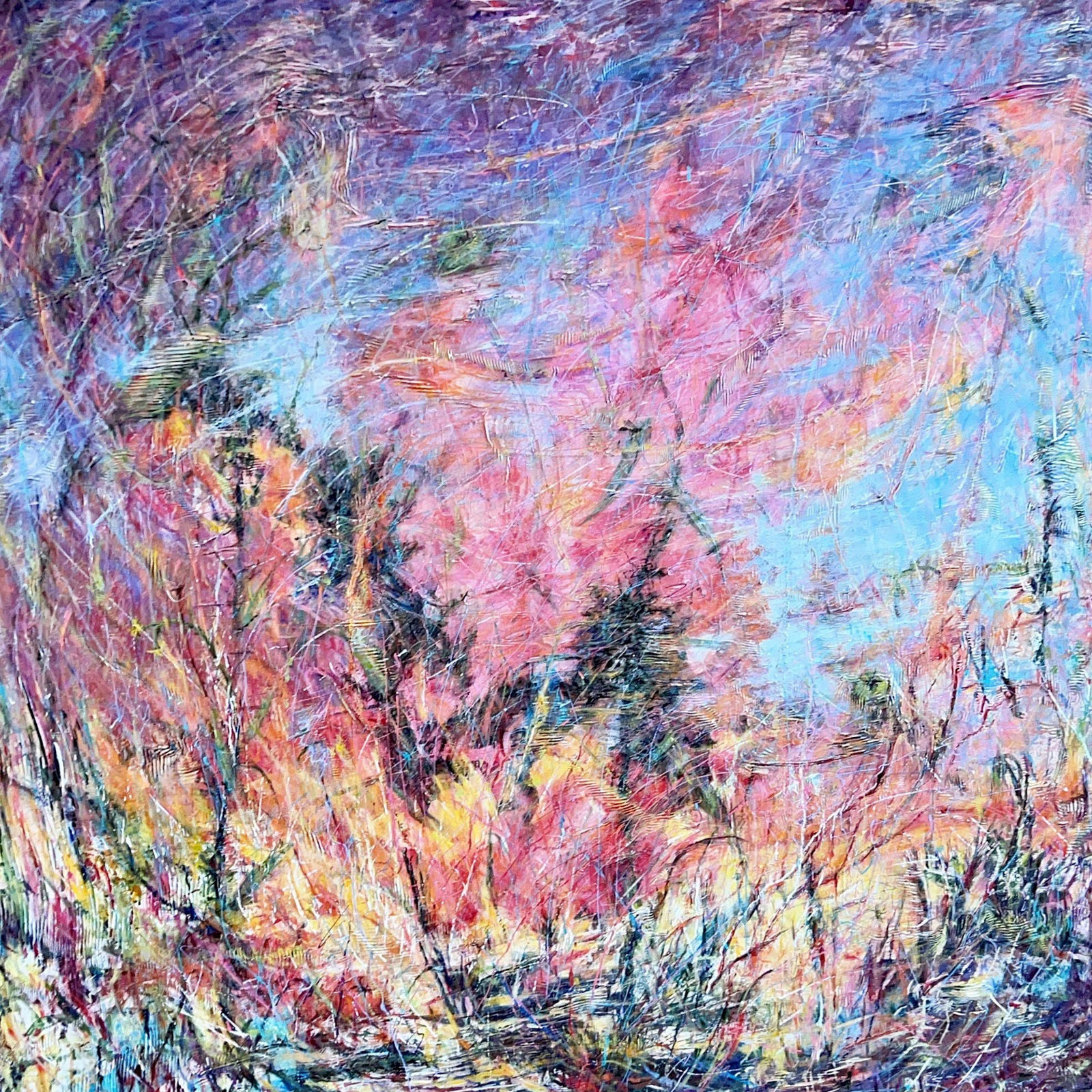 Caroline Farris, Okras and Flying Green Tomatoes in the storm