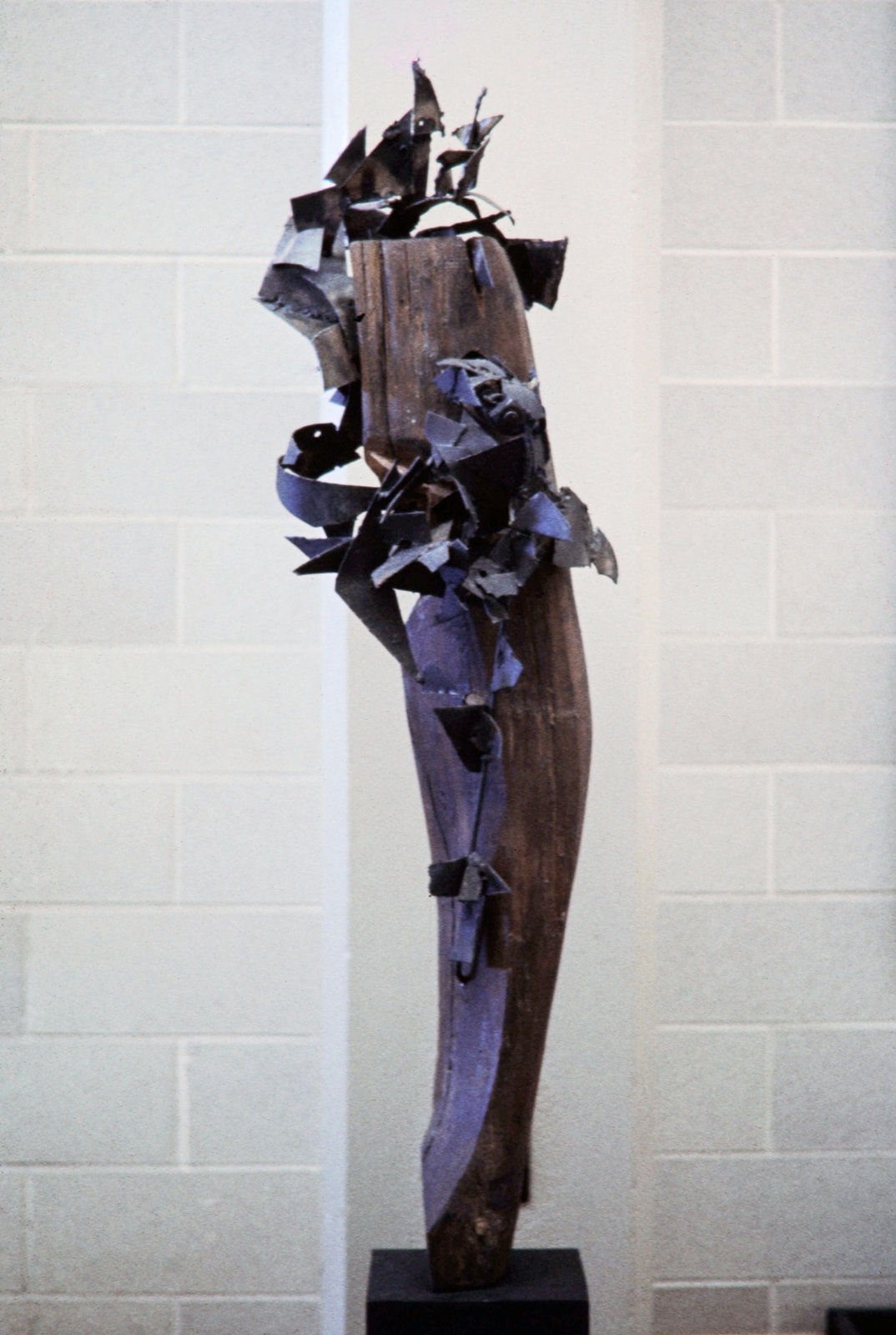 Gaze, 1961