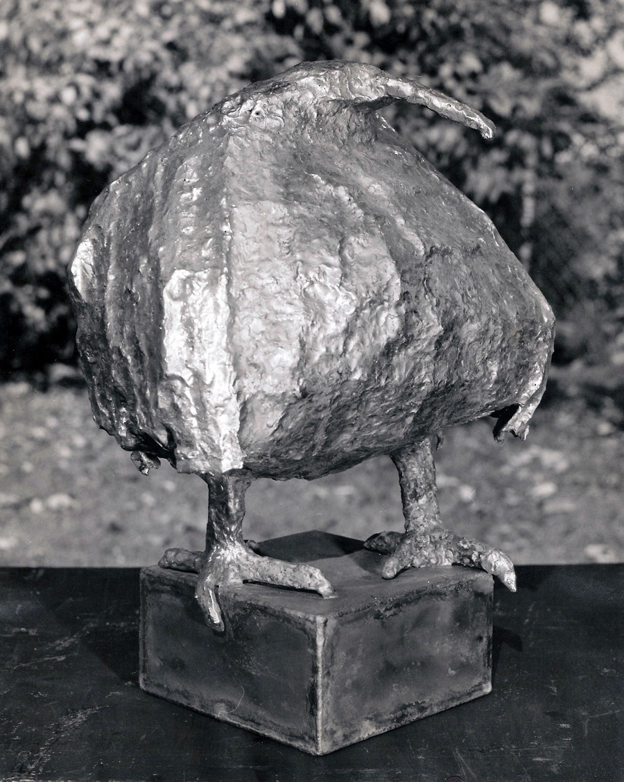 Bird, 1977