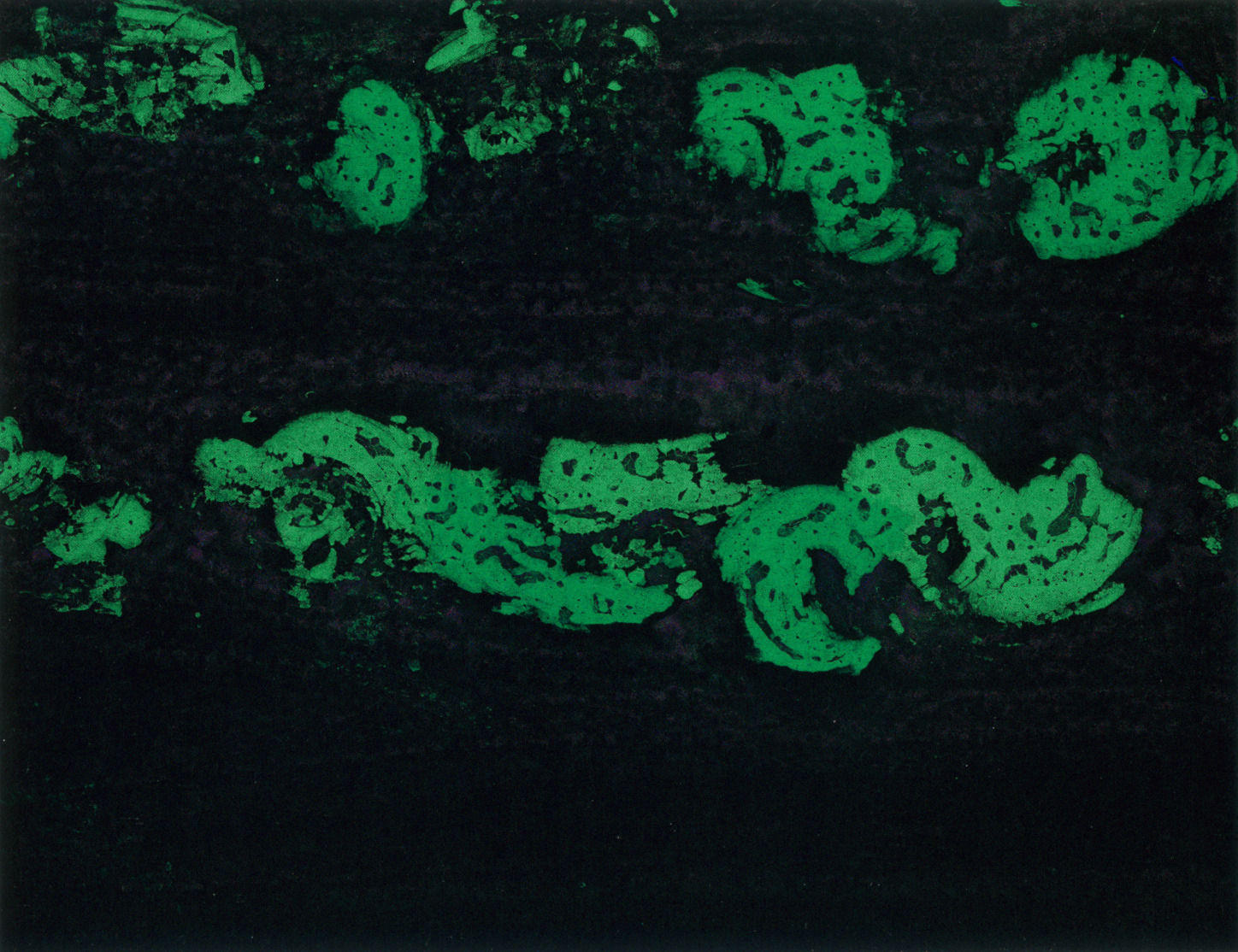 0876P_scanpubli_ExpoMucsarnok2023