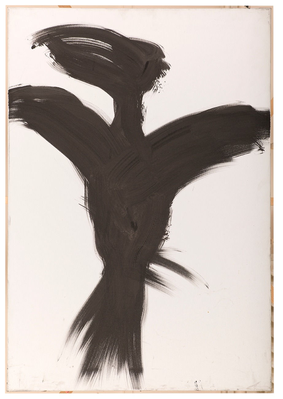 Photo_PhilippeBoudreaux