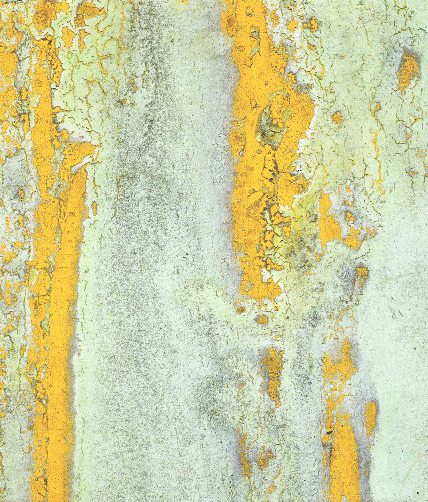 0880P_scanpubli_ExpoMucsarnok2023