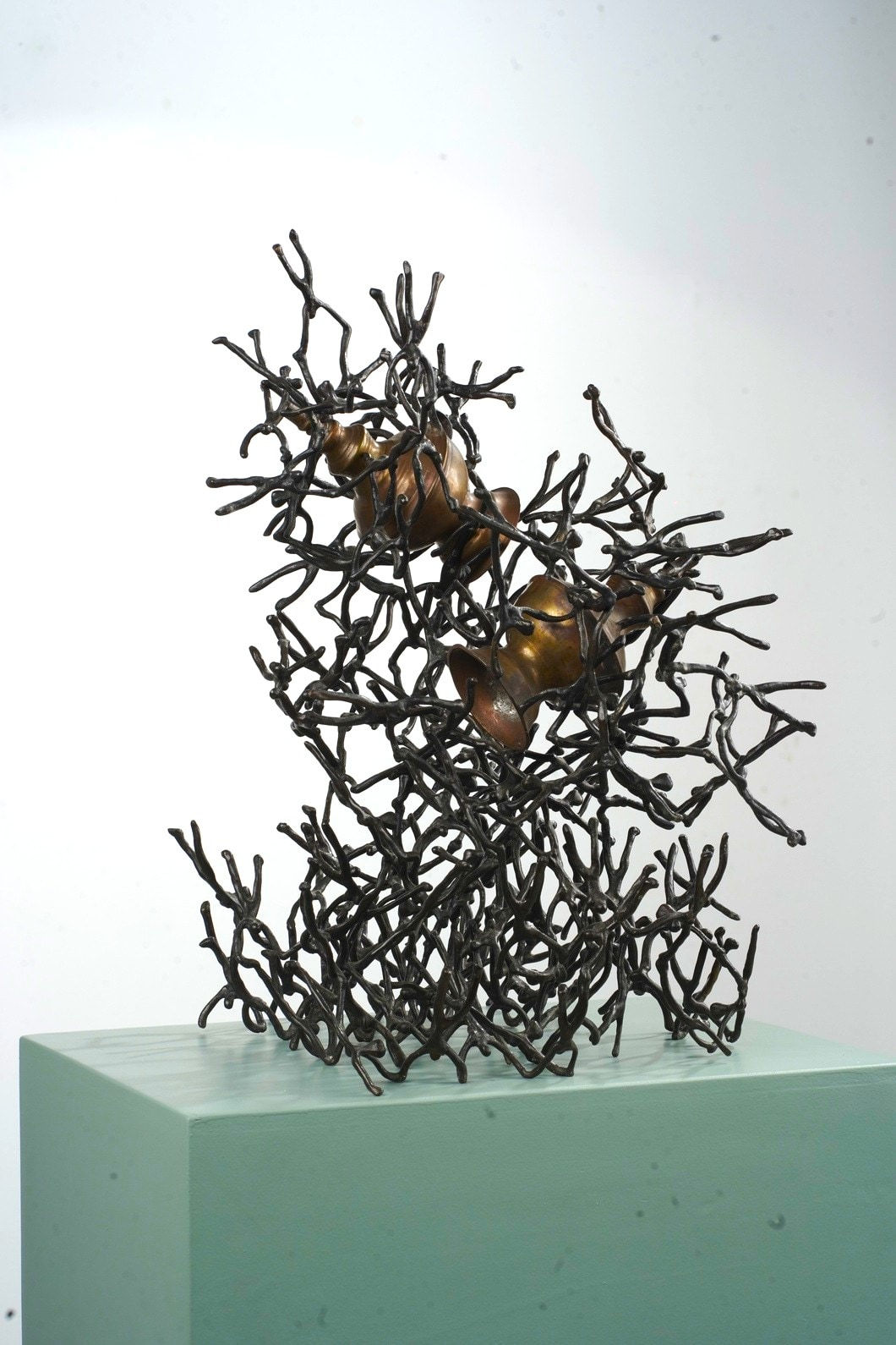 K S Radhakrishnan, Rekindled Kuppi, 2017