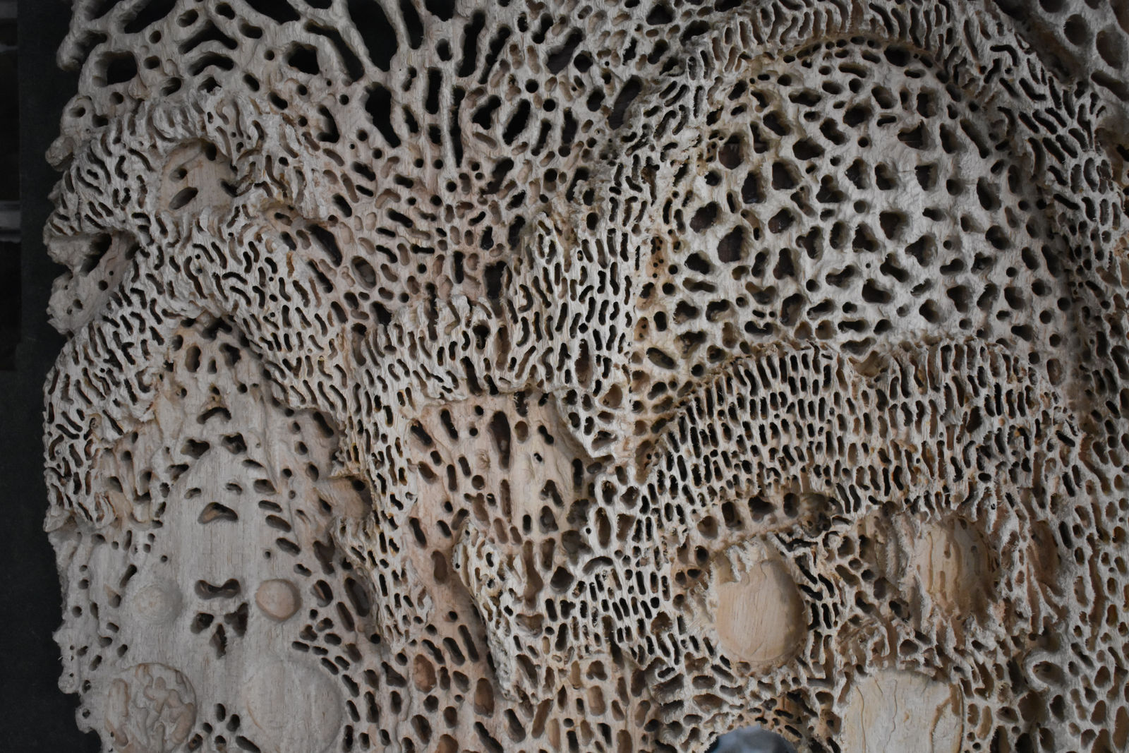 Debiprasad Bhunia, Visible & Invisible Structures