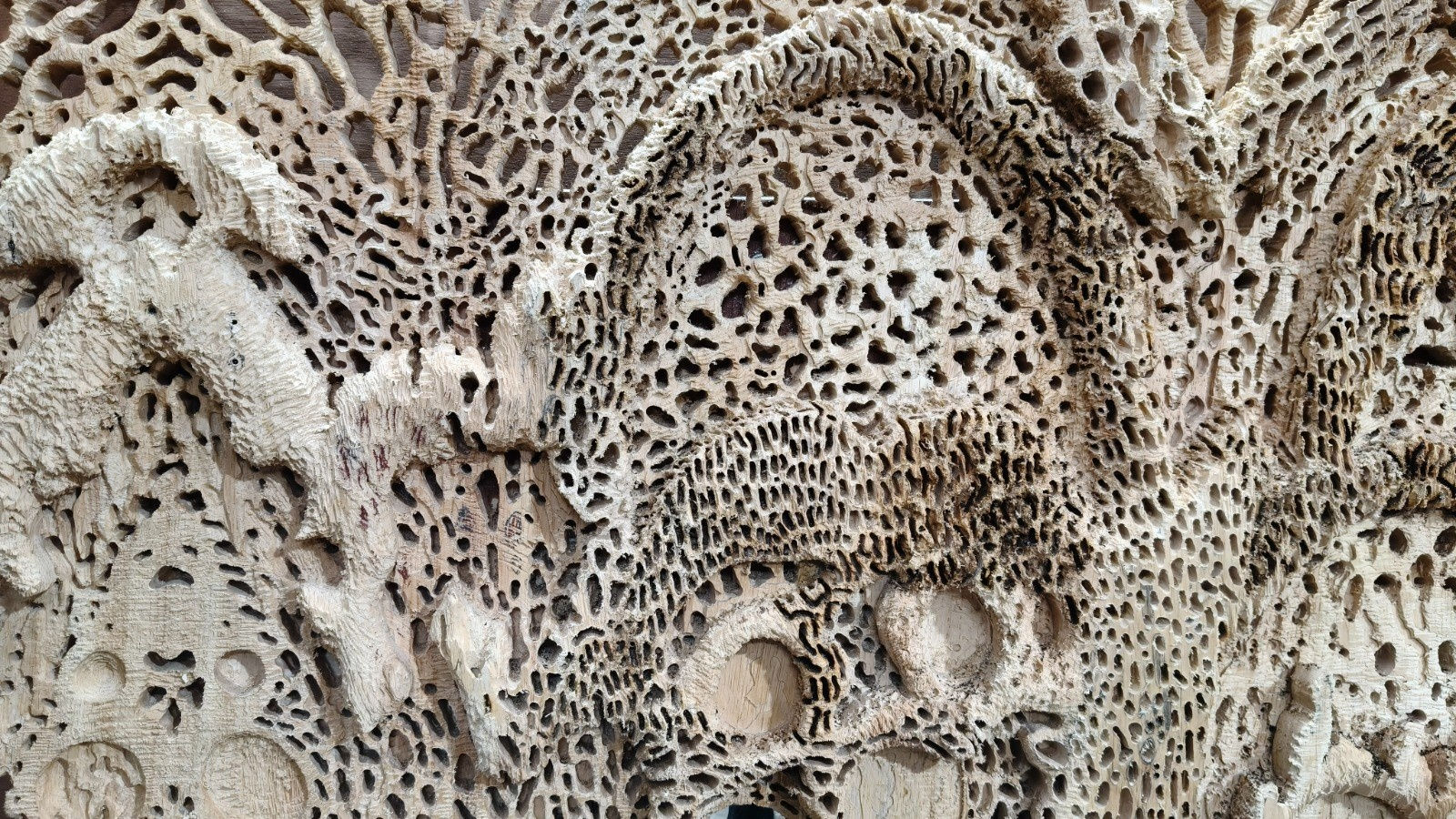 Debiprasad Bhunia, Visible & Invisible Structures