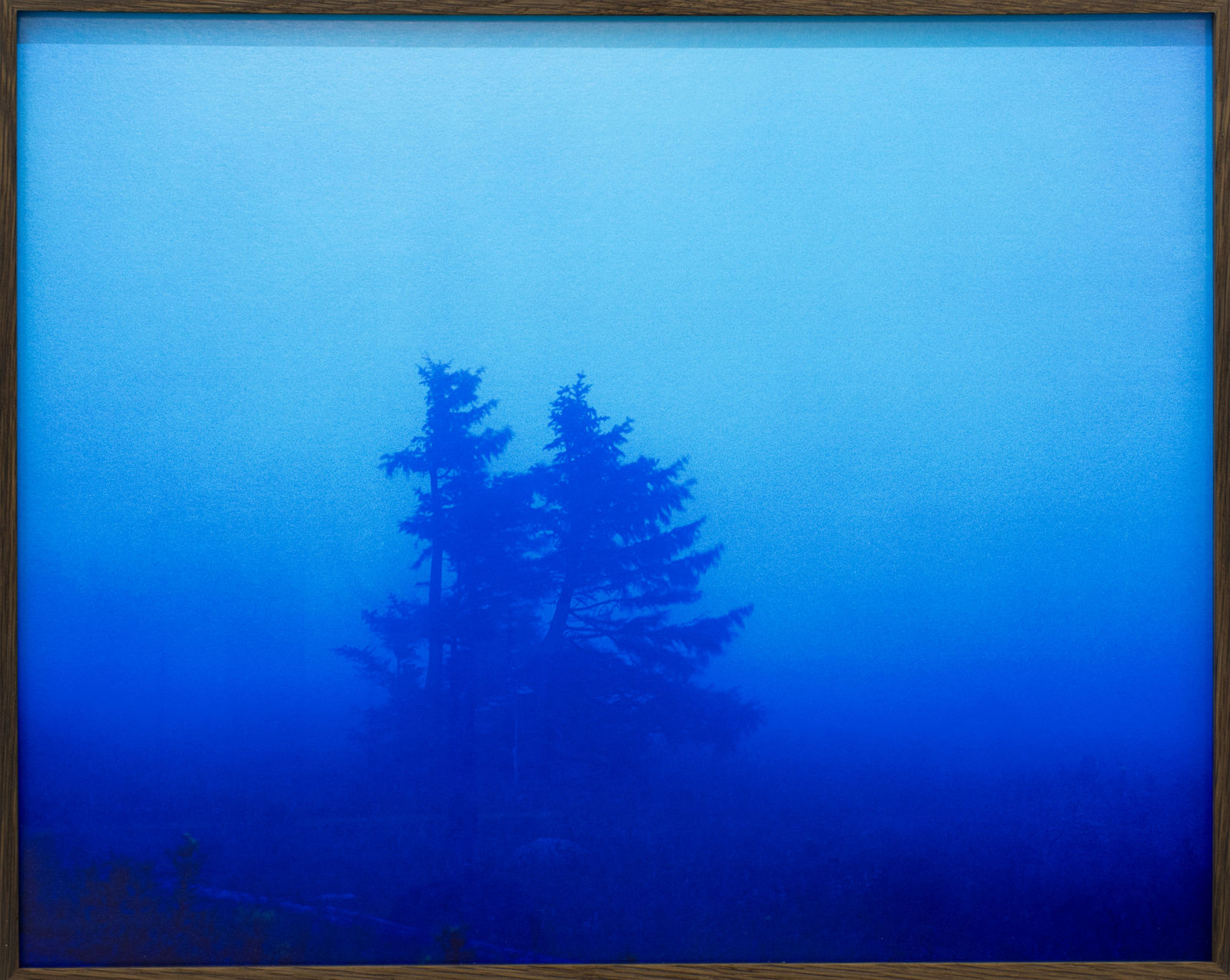 Malte Bartsch, Tipping Point, 2024