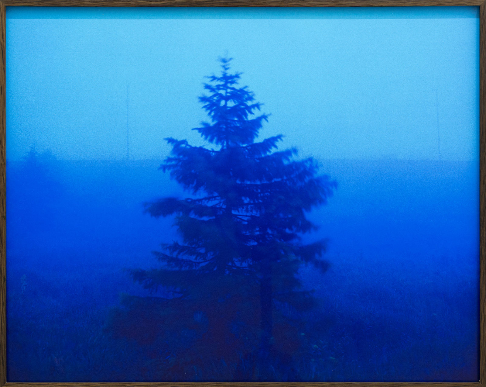 Malte Bartsch, Tipping Point, 2024