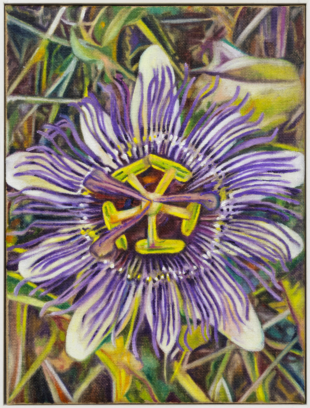 Grégory Sugnaux, Passiflora, 2024