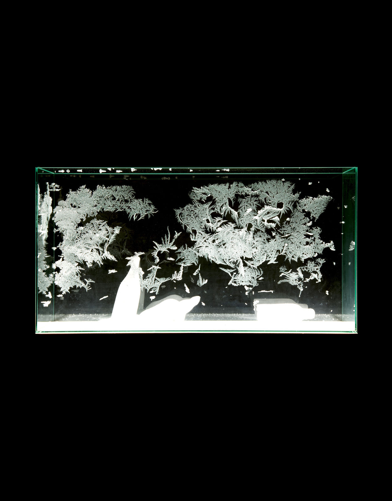 Aiko Miyanaga, message, 2021