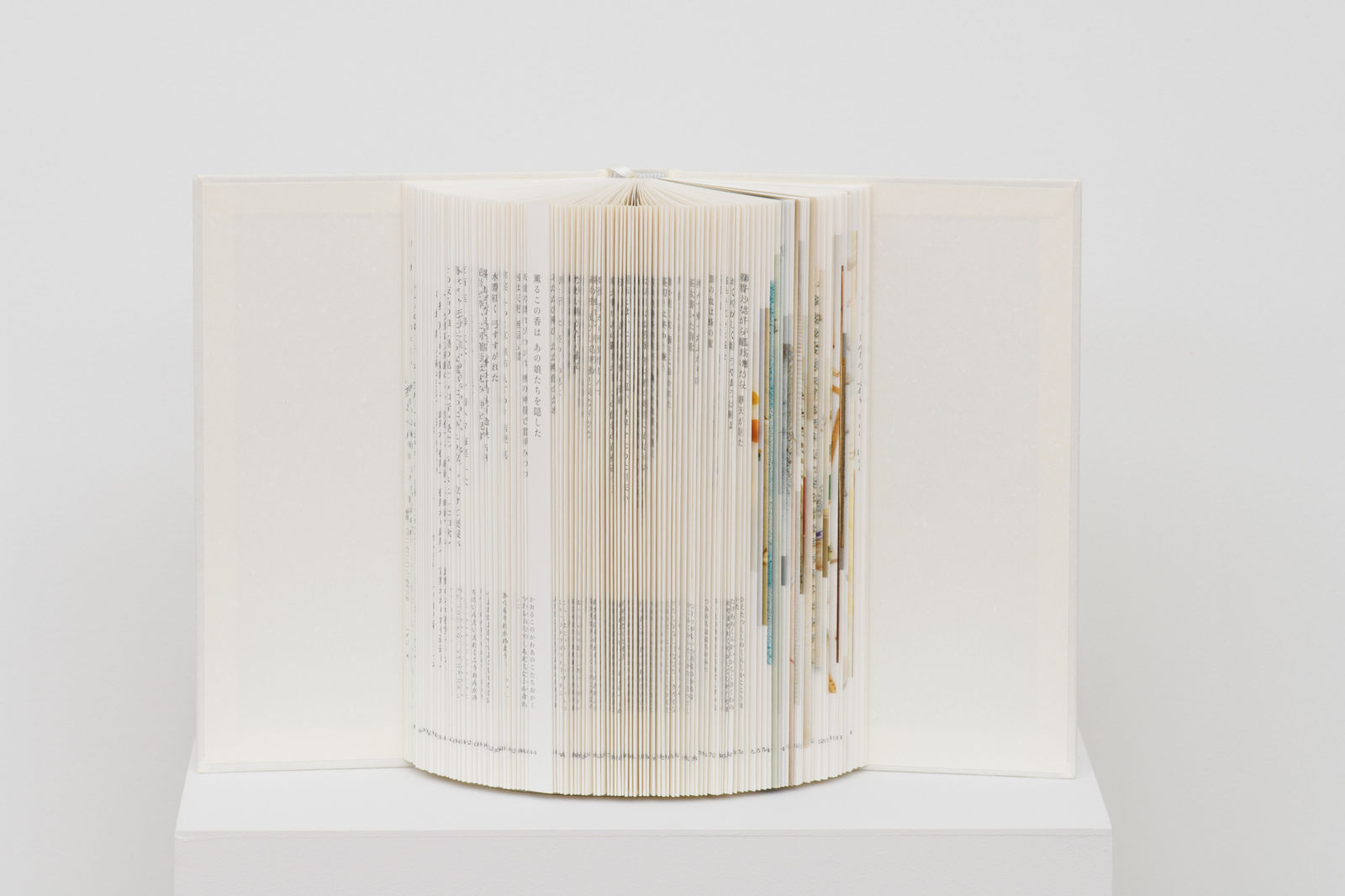 Naoyo Fukuda, 翼あるもの『ひかり埃のきみ』, The Winged: Selection from the Essential Works of Naoyo Fukuda, 2023