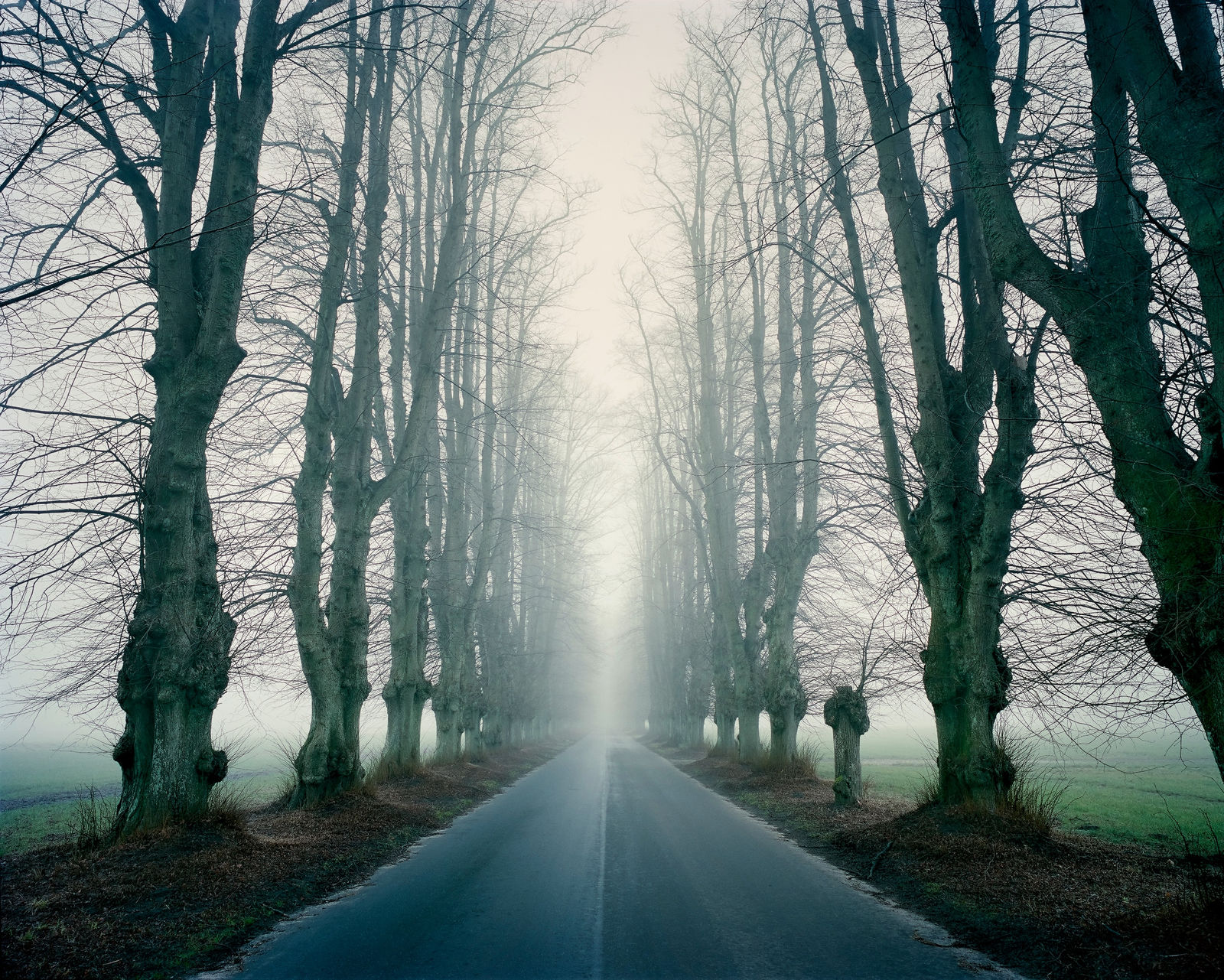 Joakim Eskildsen, (Home Series ) Avenue