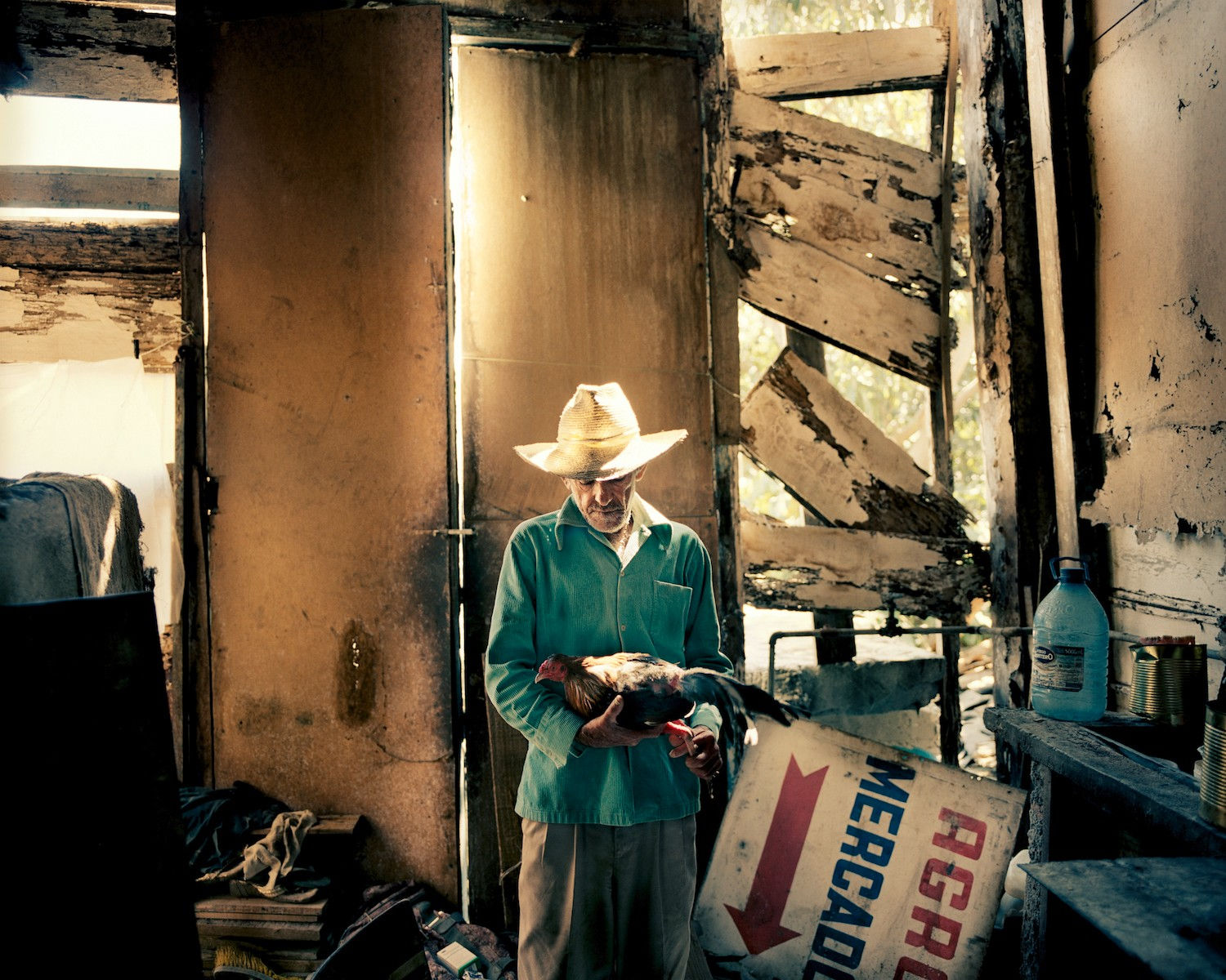 Joakim Eskildsen, Pride. Cockfight Rooster