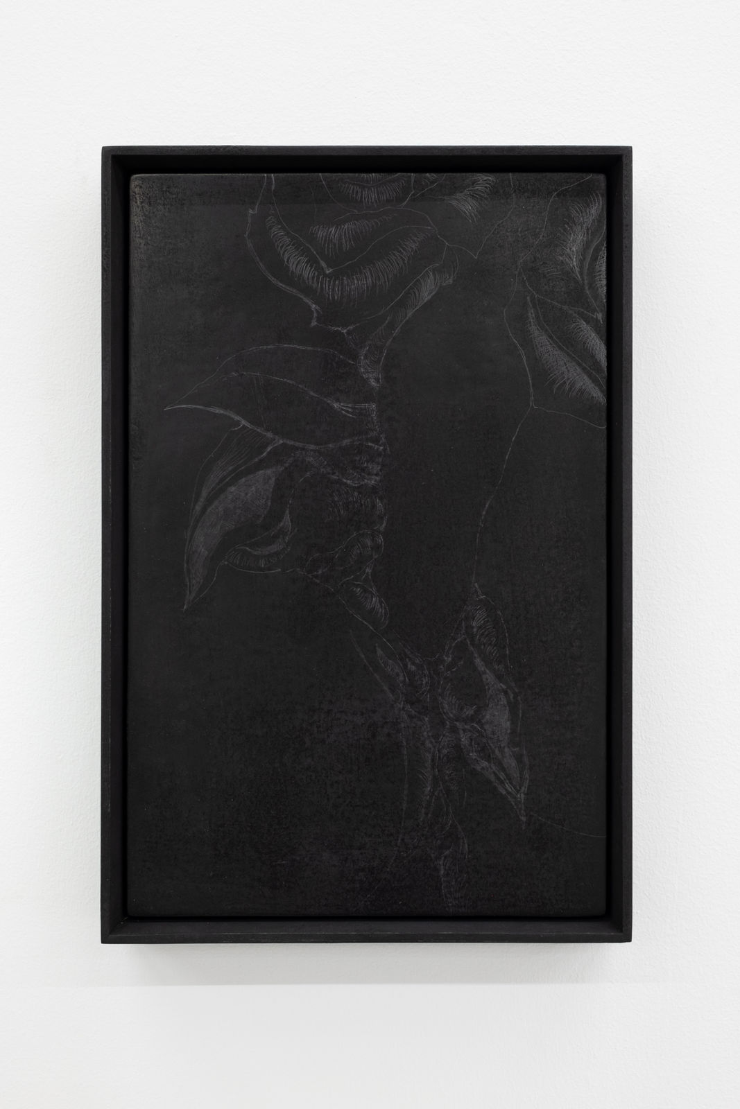 Martín Soto Climént, Espejo lejano 3 - Midnight Dew, 2022