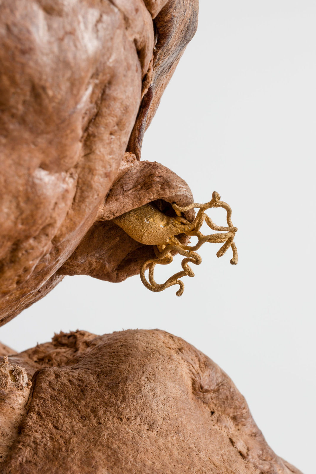 Francis Upritchard, Any Noise Annoys an Oyster, 2024