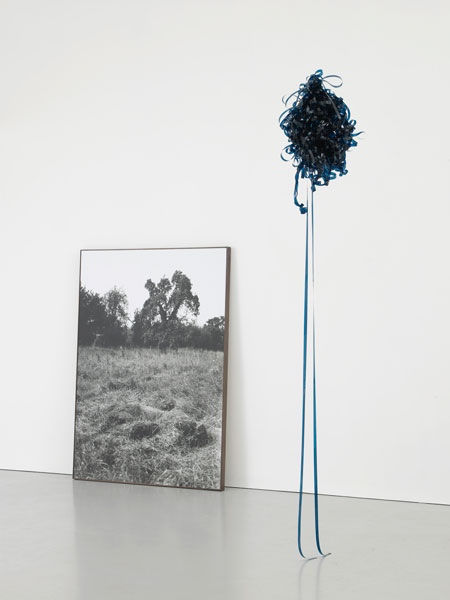 Marcus Coates, Skylark Song, 2012