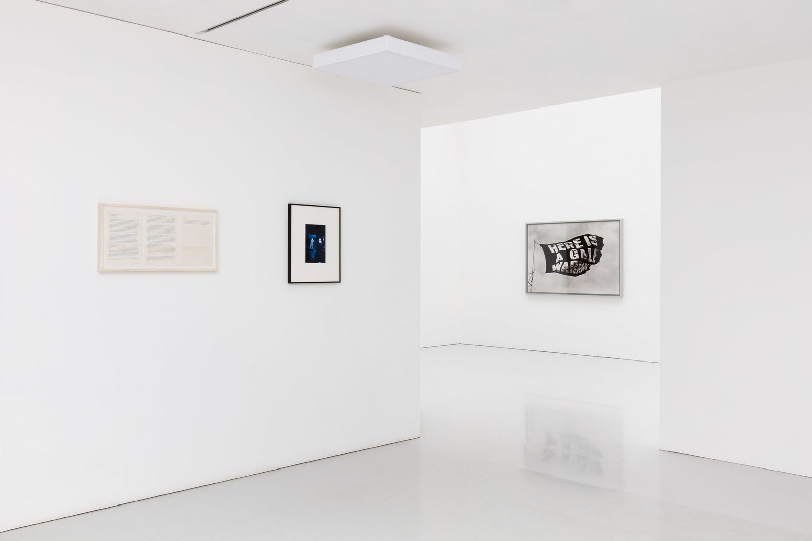 The Estate of Rose Finn-Kelcey, 2020