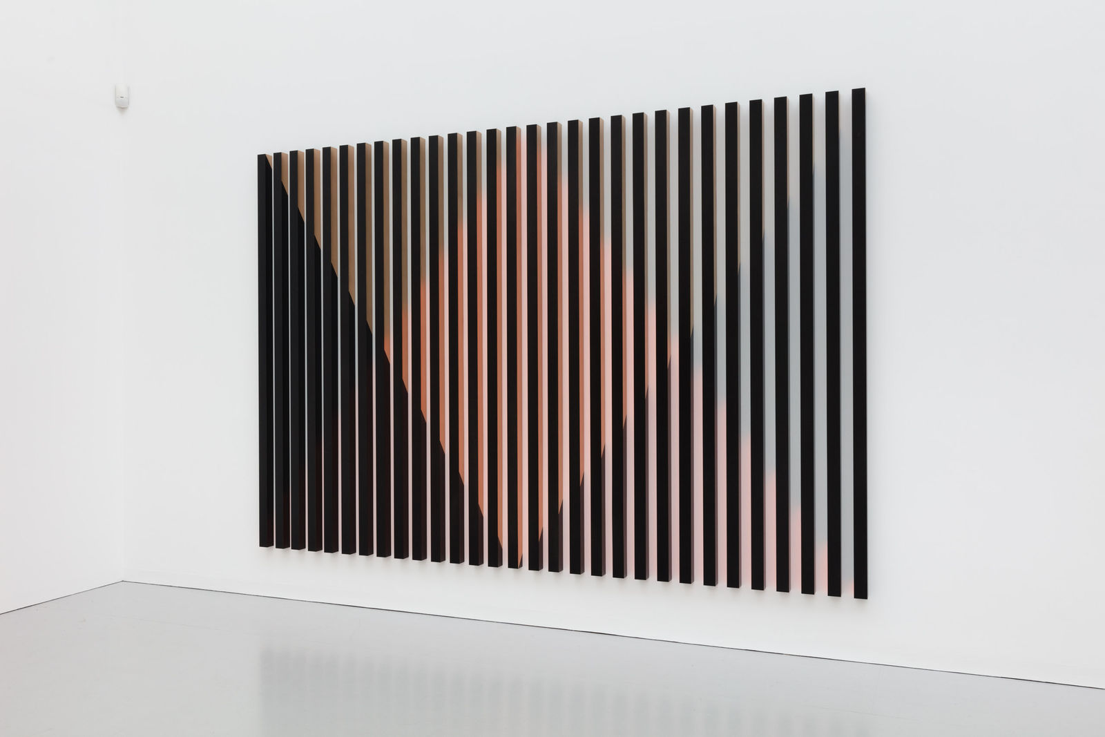 Rana Begum, No. 793, 2018