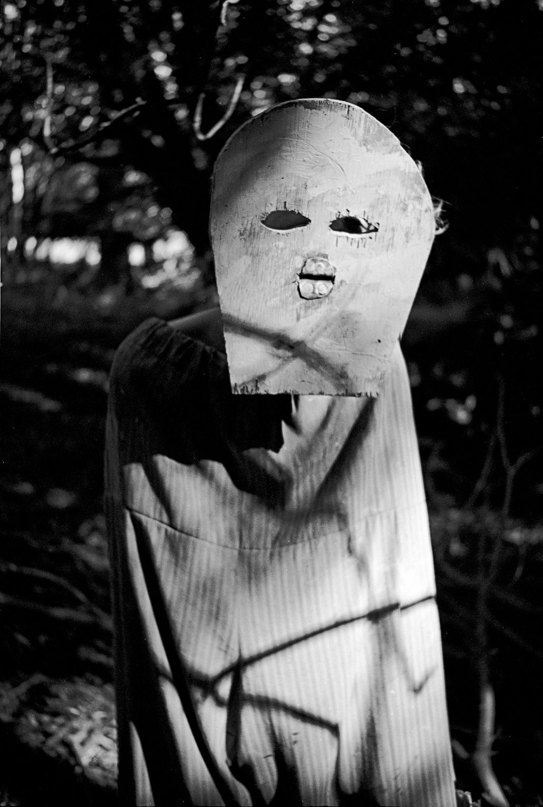 Ben Rivers, Somerset Clade no. 12, 2010