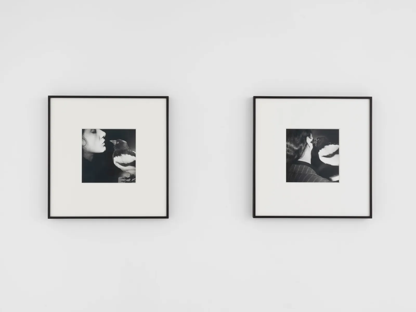 The Estate of Rose Finn-Kelcey, Untitled: Rose and Magpie #1 and #2, c. 1977
