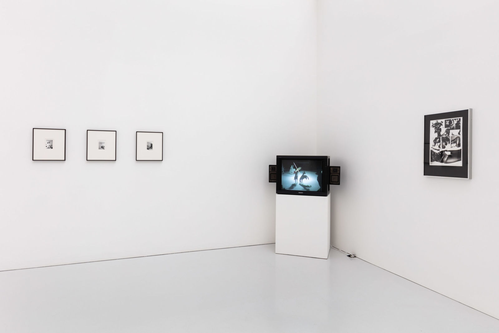 The Estate of Rose Finn-Kelcey, 2020