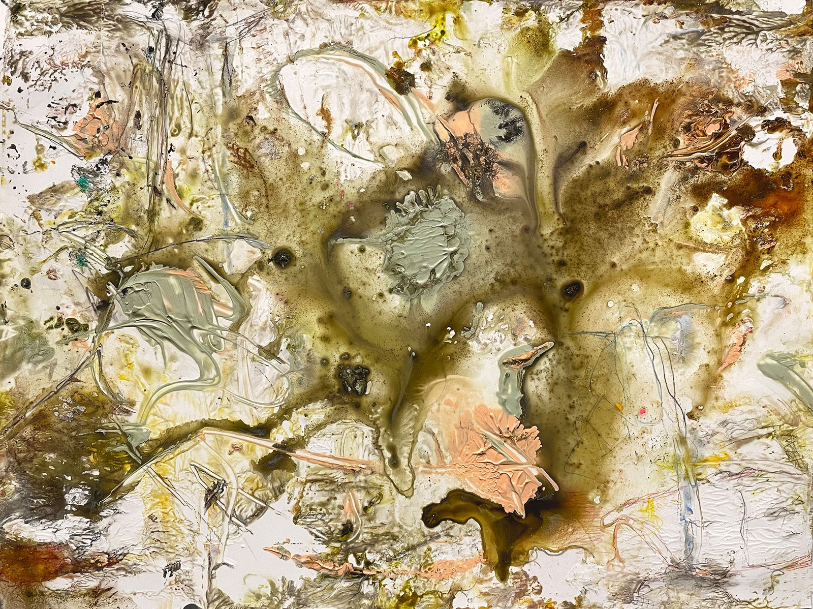 Kathryn Shagas, Plankton, 2023