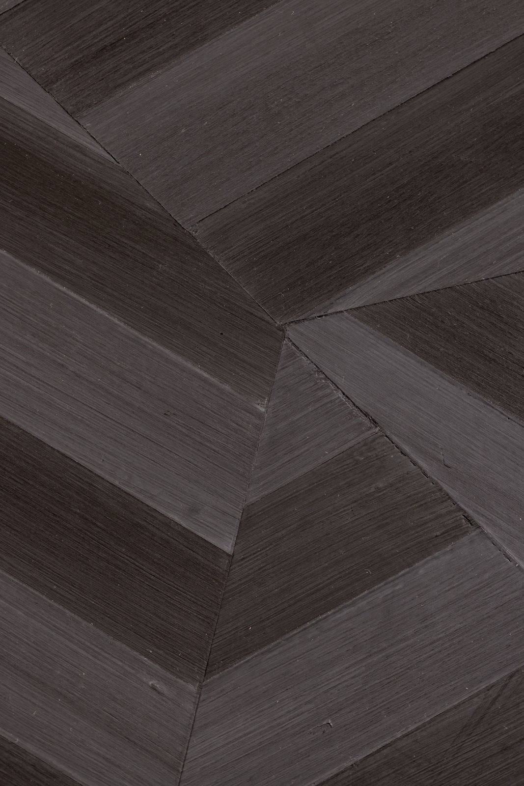 James Little, Cute Star, 2022