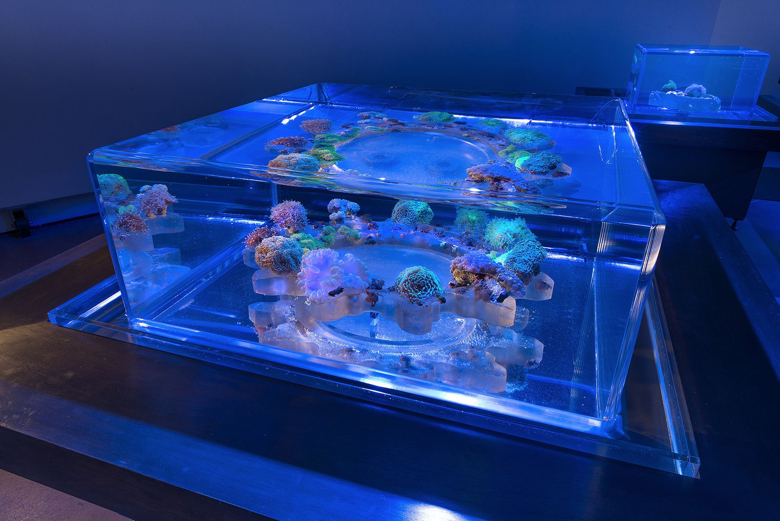 Glenn Kaino, Tanks, 2014