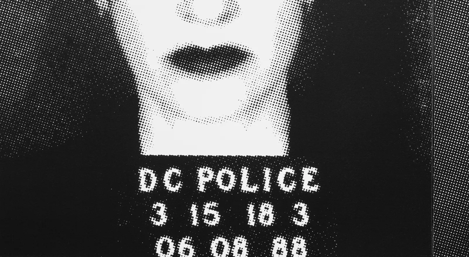 Deborah Kass, Terrie S., 1998