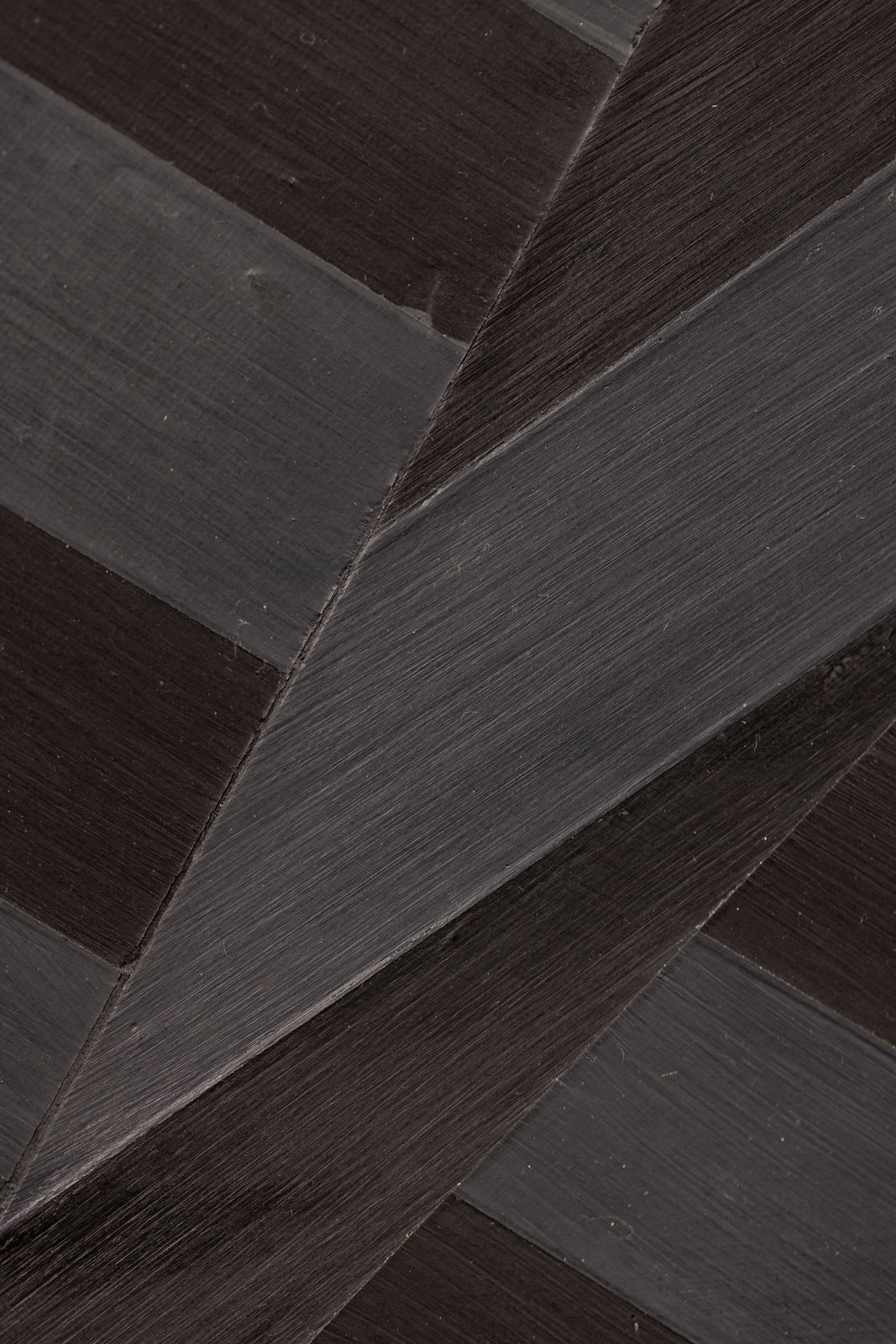 James Little, Spangled Star, 2022