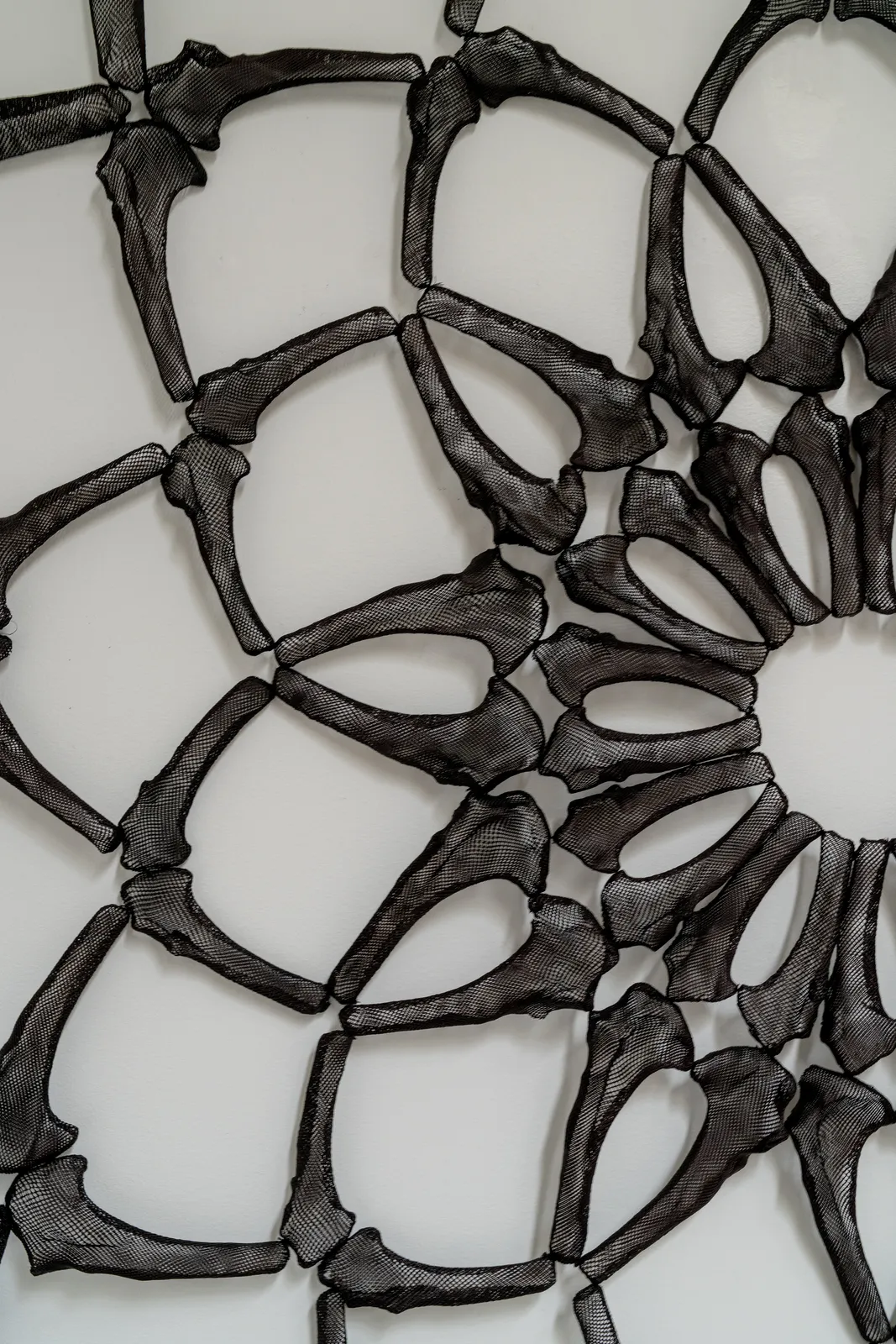 Emma Davies, Desert Rose, 2026