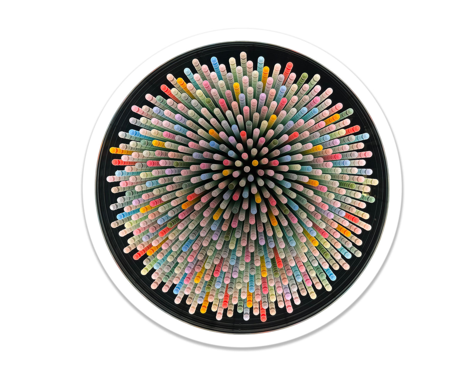 Max Patté, Meadow's Embrace, 2025