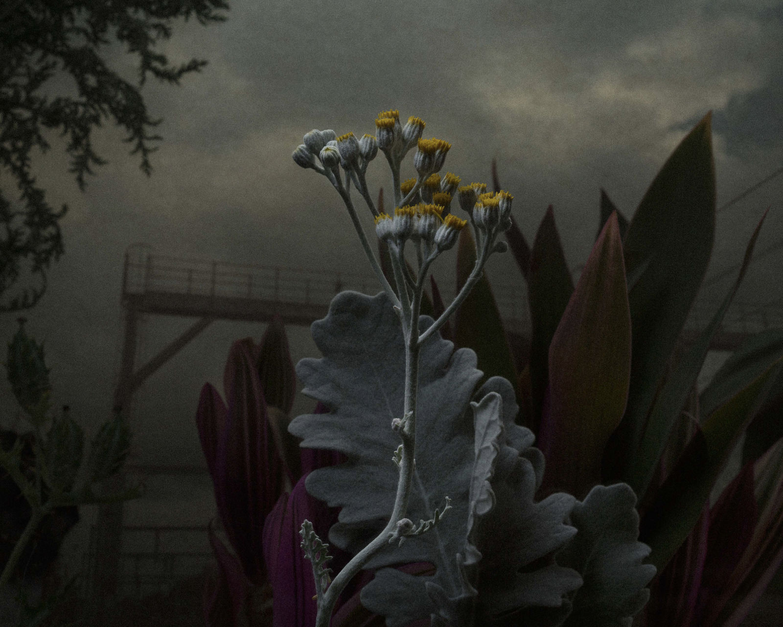 Daniel Shipp, Idle Railway Land, 2014