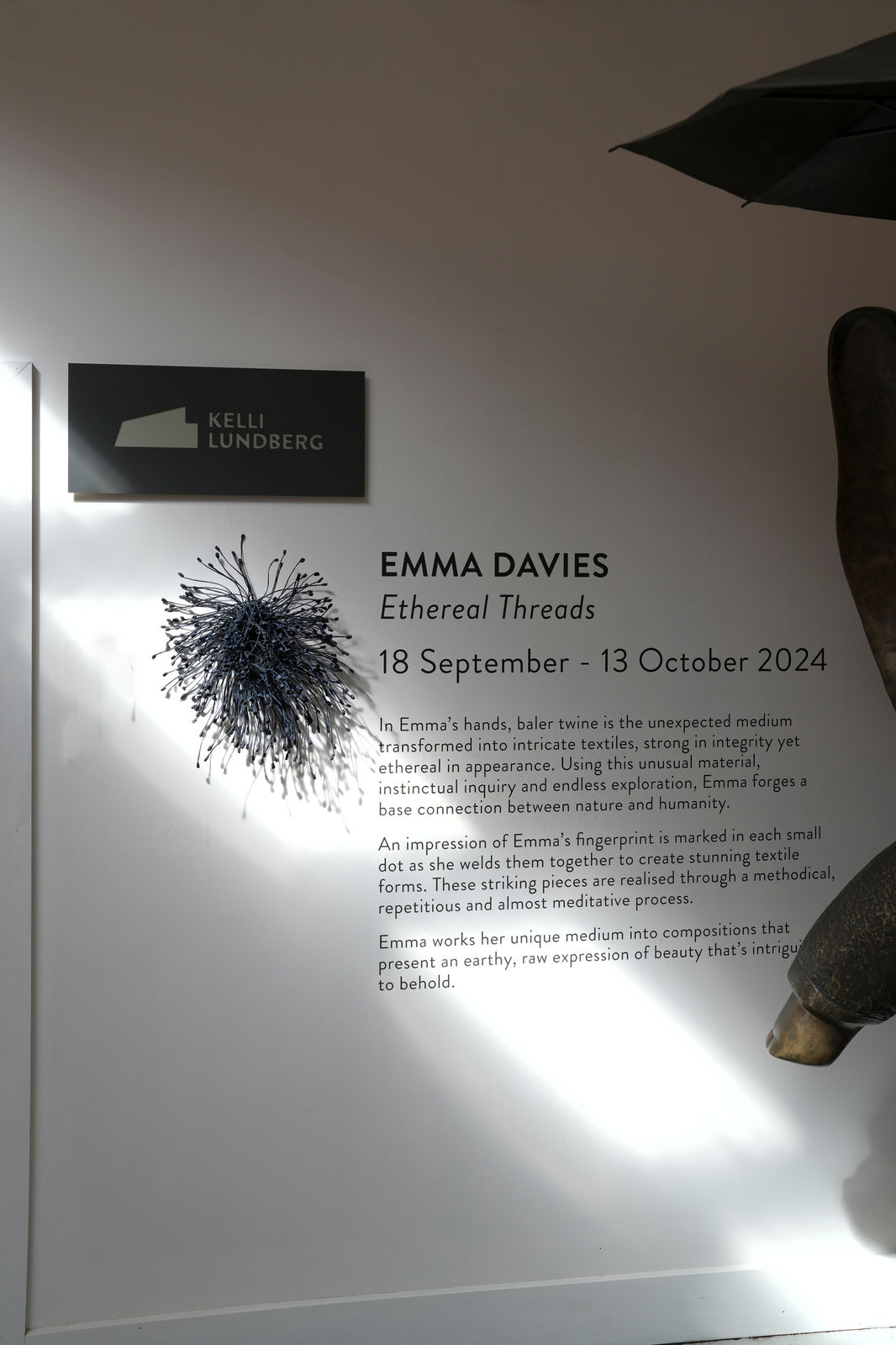 Emma Davies, Bloom, 2024