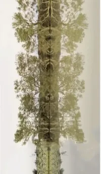 Emma Davies, Cooper Creek, 2026