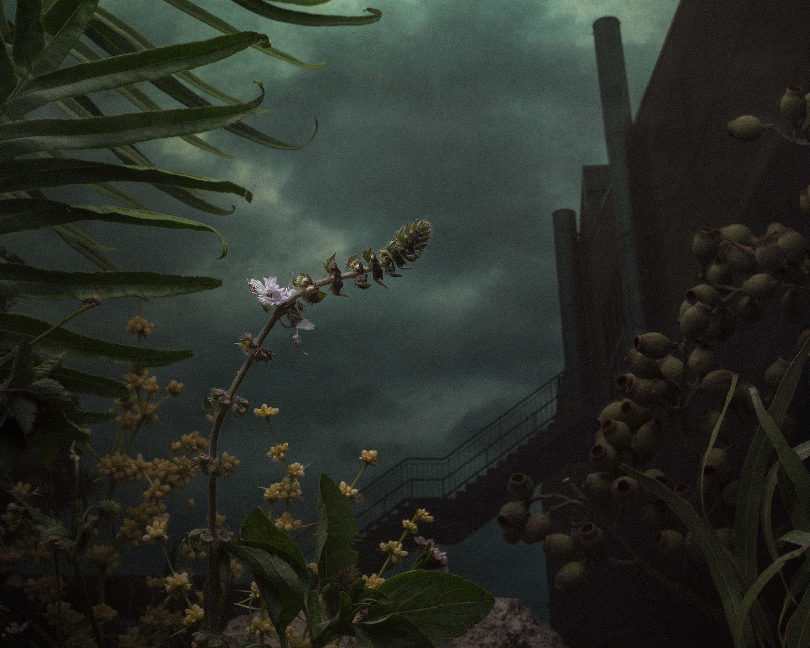 Daniel Shipp, Defunct Industrial Site, 2014