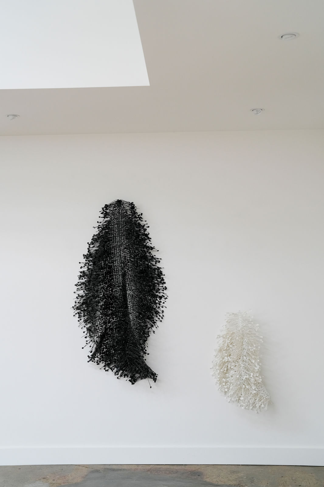 Emma Davies, Vertebrale, 2024