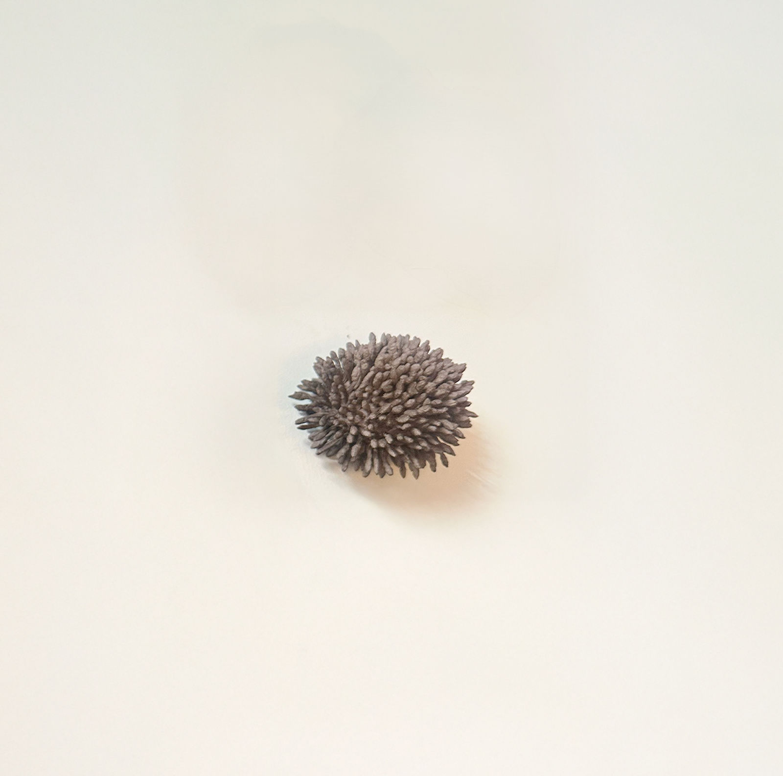 Emma Davies, Seastone Bloom Urchin, 2025