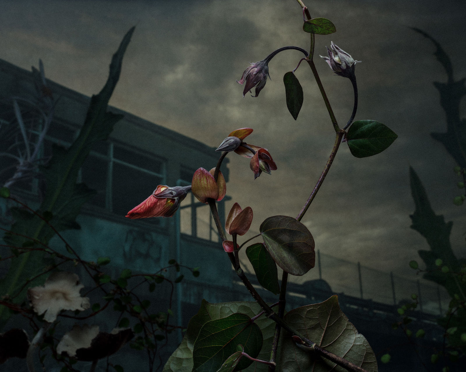 Daniel Shipp, Data Hub Aberration, 2018