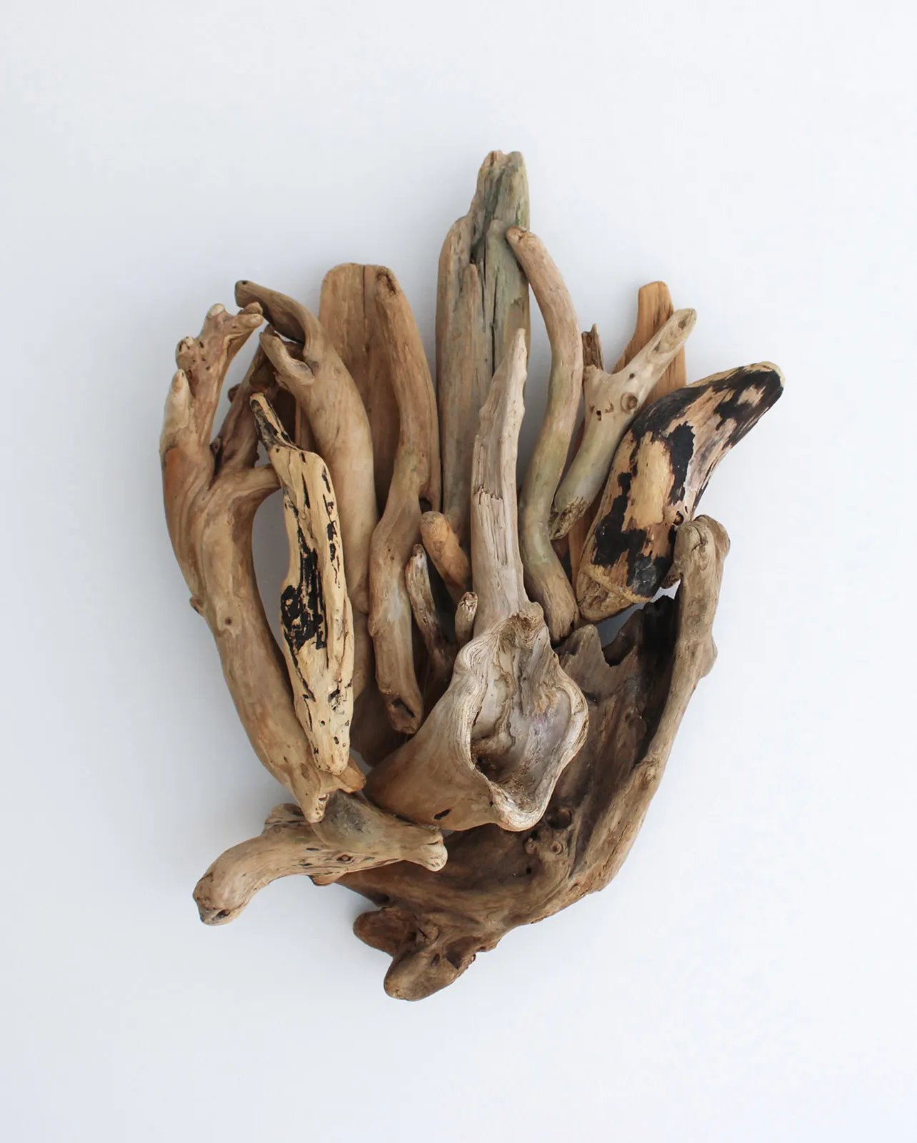 Phyllis Rosser, Cloud Trumpet, 2024