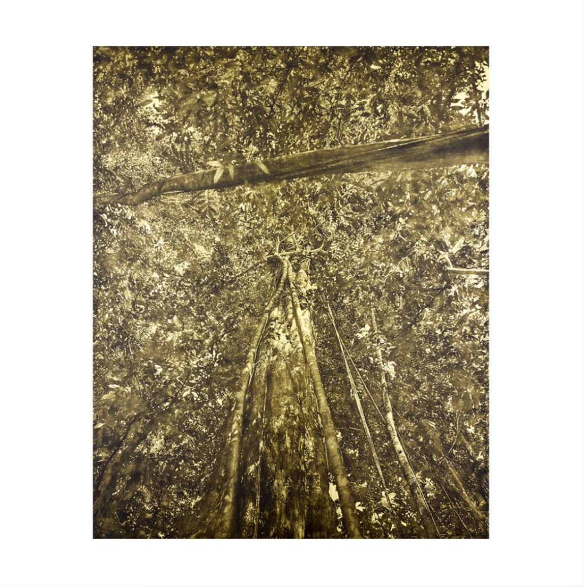 Ulf Saupe, Golden Forest #22 V1, 2021