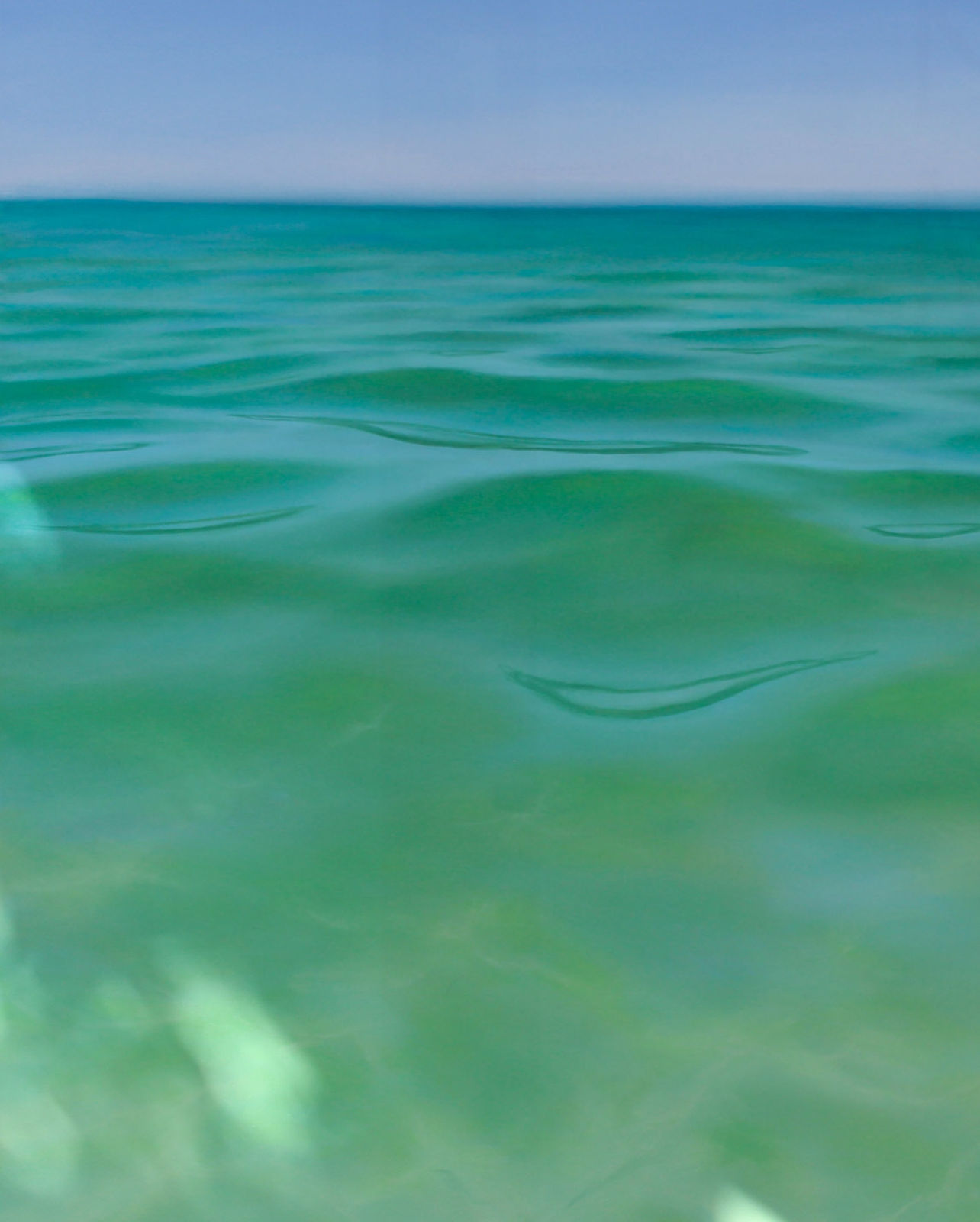 Alexis Herman, Caribe No. 1, 2025