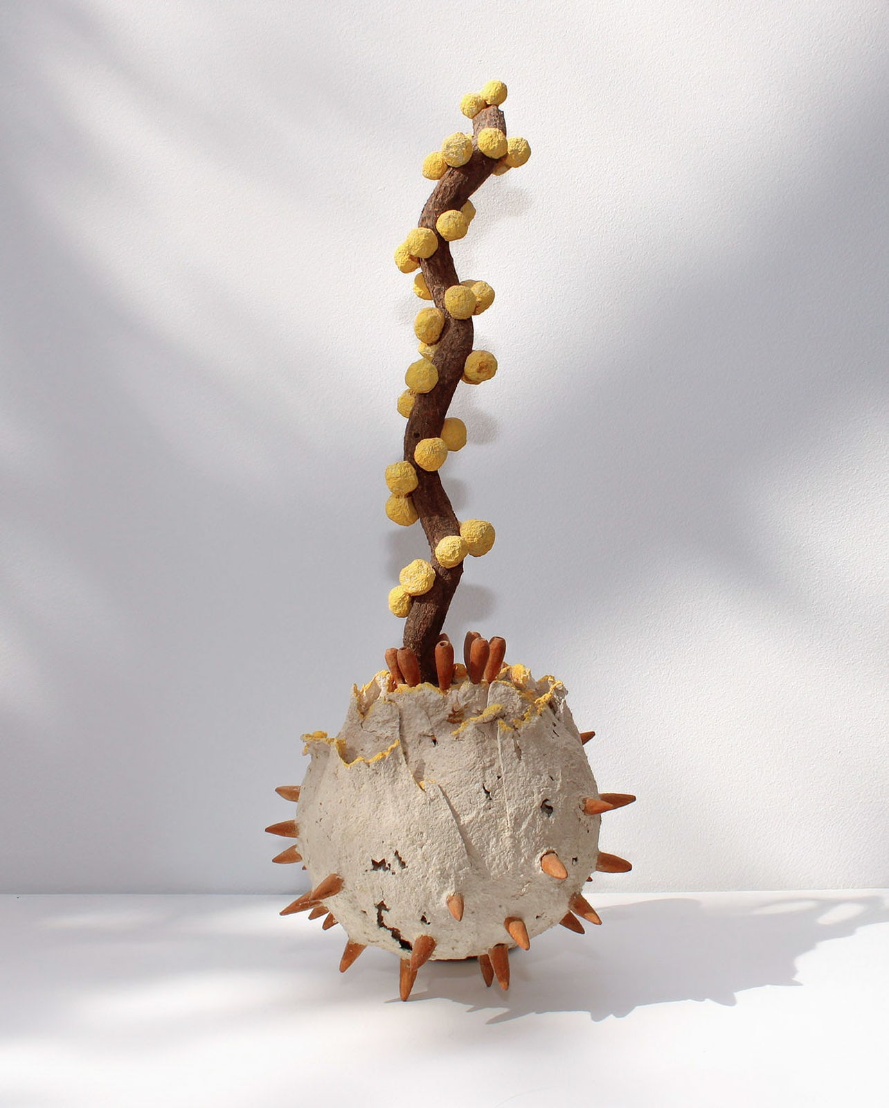 Loren Eiferman, Seed Pod, 2023