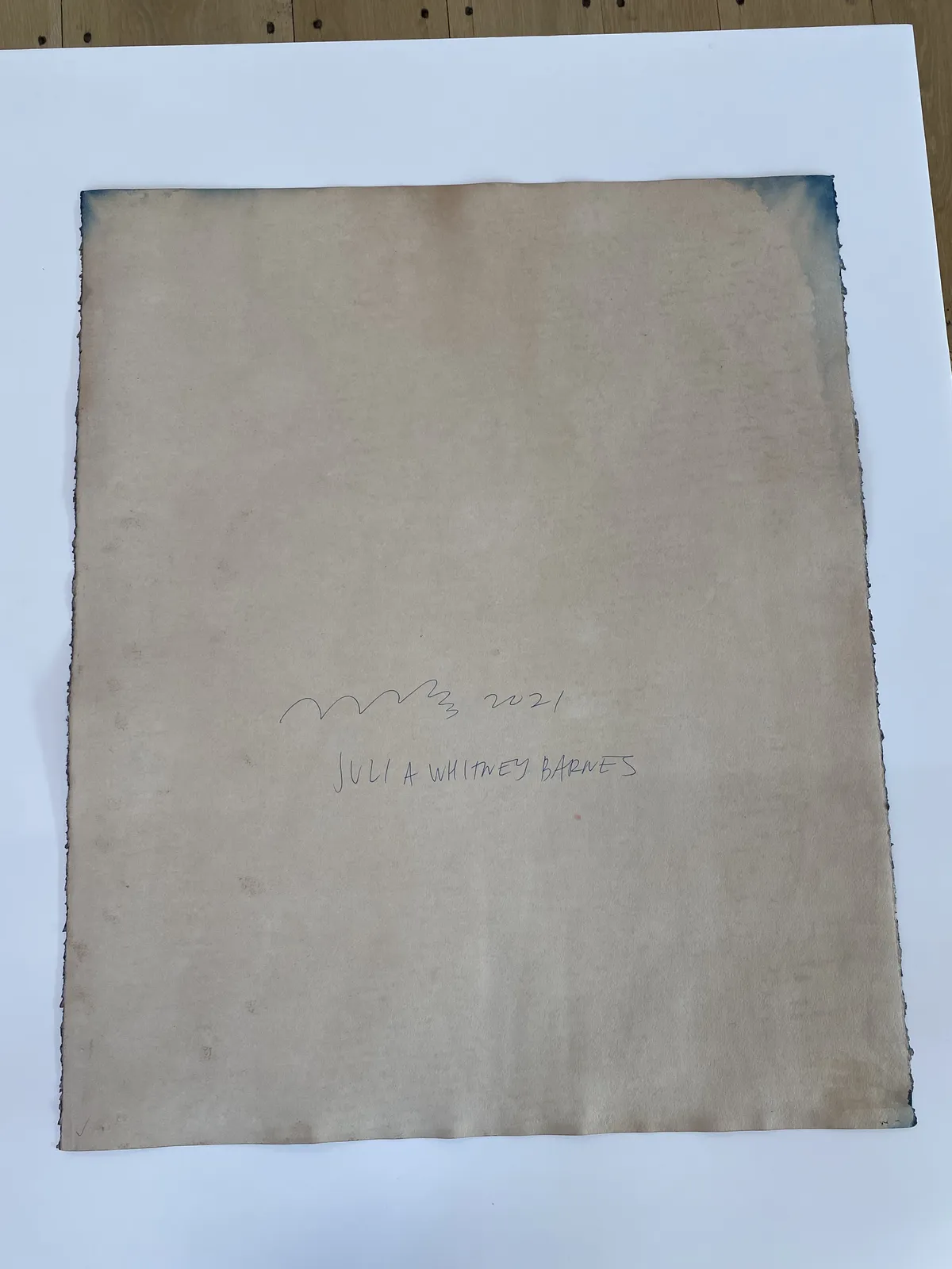 Julia Whitney Barnes, Cyanotype Painting (Tea Toned Gingko, Ferns, Petals, etc.), 2021