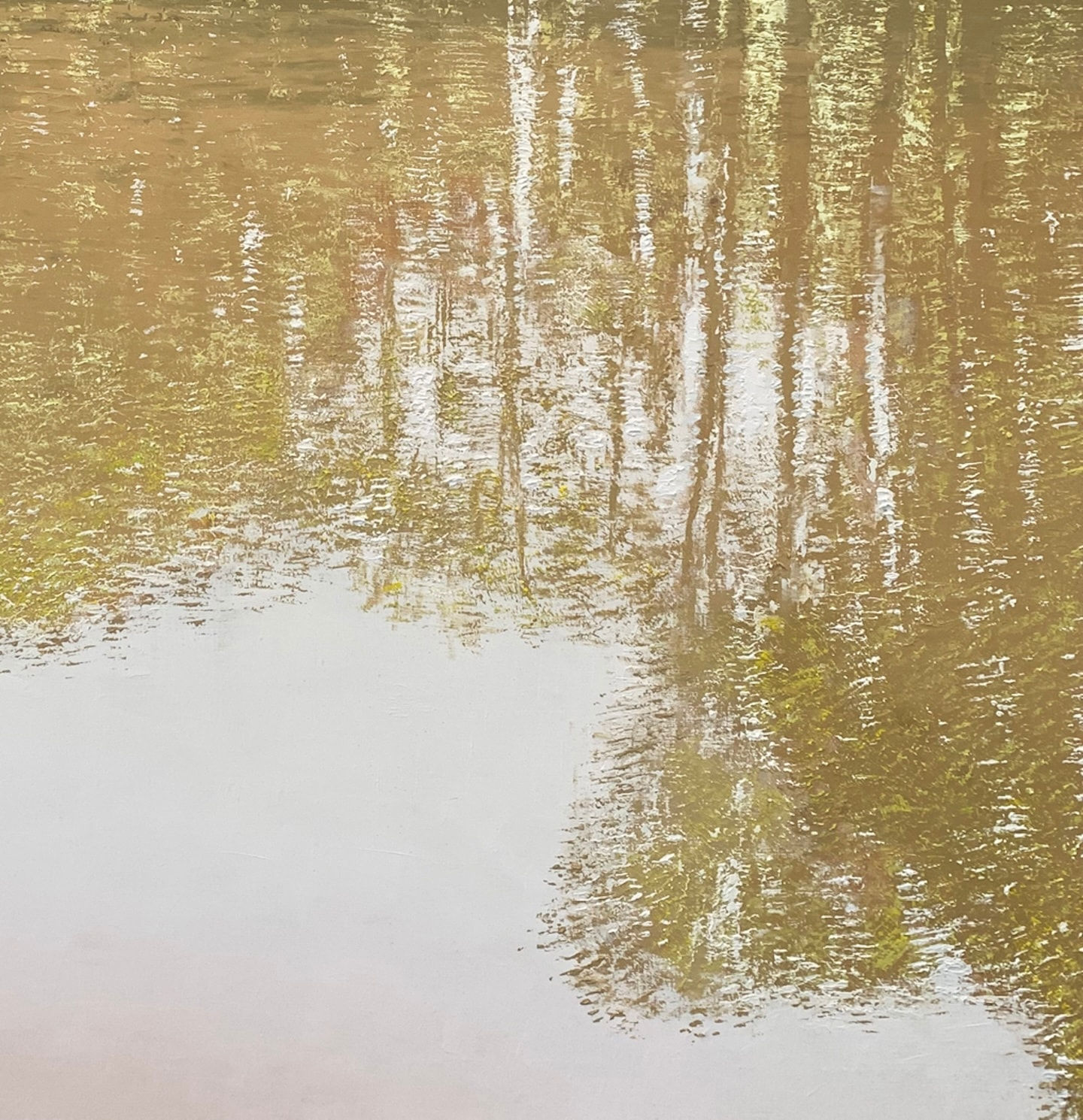 Benoît Trimborn, Riviere au soleil