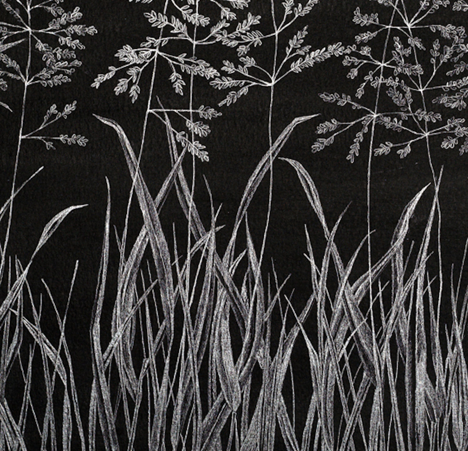 Margot Glass, Grasses 6, 2019
