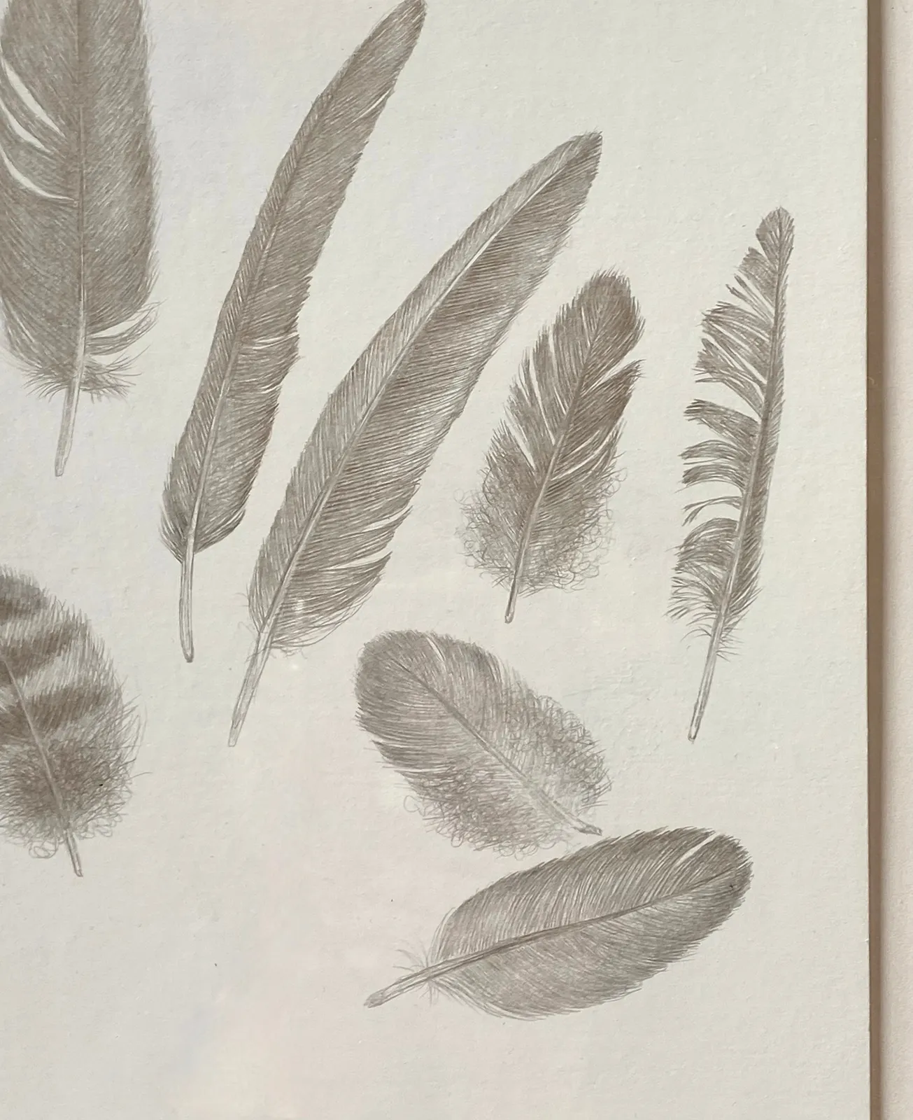 Margot Glass, Feather Group 3, 2021